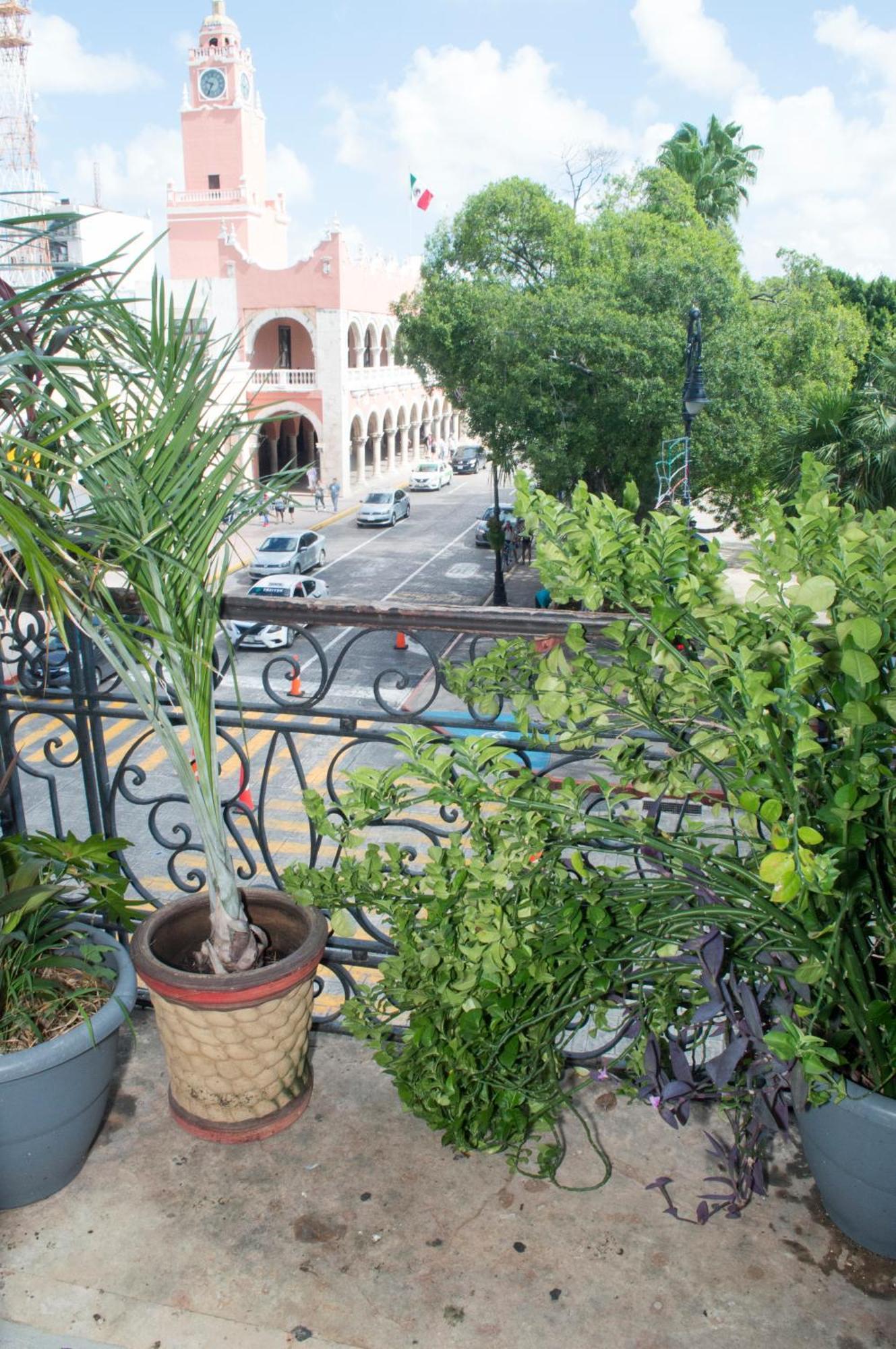 מלון מרידה Hostal Zocalo מראה חיצוני תמונה